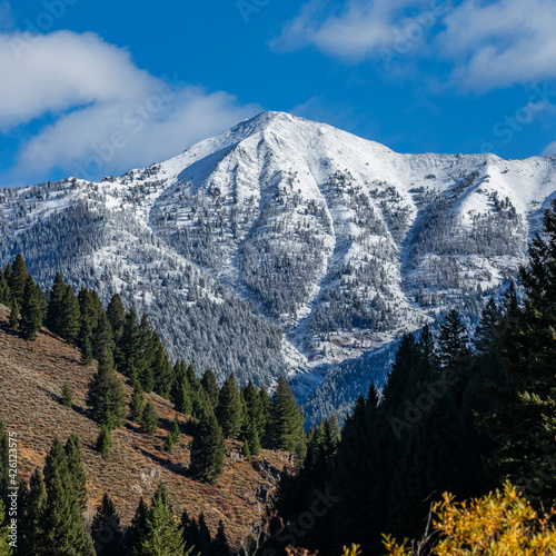 United States, Idaho, Sun Valley, Landscape with snowy mountains and autumn forest in valley