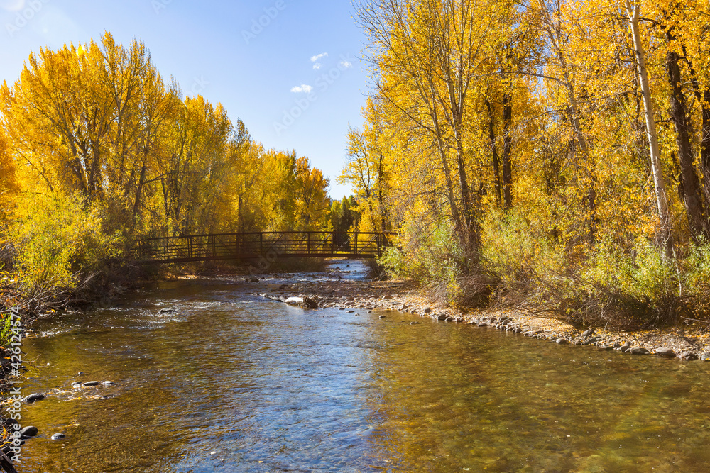 United States, Idaho, Sun Valley, Big Wood River with autumn trees United States, Idaho, Sun Valley, Big Wood River with autumn trees