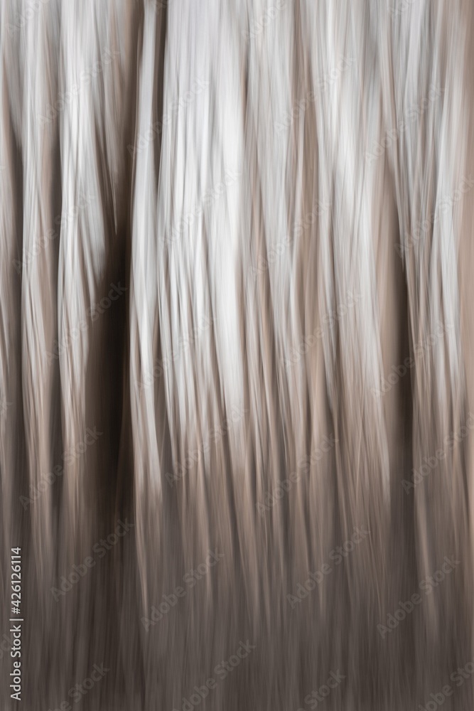 Abstract trees with motion blur Abstract trees with motion blur