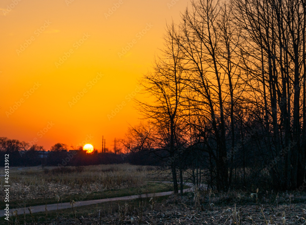 a landscape of meadow and a silhouette of trees behind a sunrise and orange sky