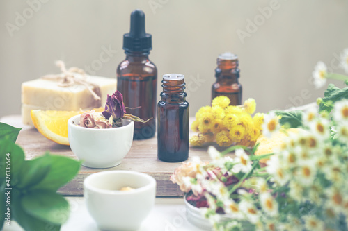 Concept of spa treatment with natural organic products. Essential oil, herbal and flower extracts, fresh plants. Atmosphere of relaxation, zen, aromatherapy. Homemade skin and body care. Close up
