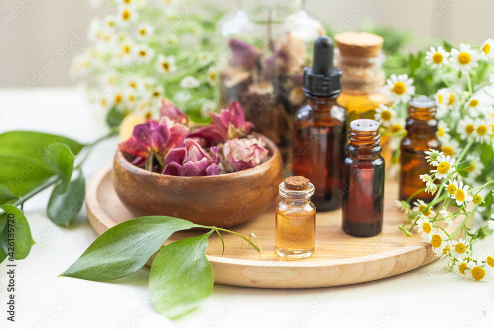 Assortment of organic essential oils. Natural moisturizing body and face treatment. Rose, camomile extract for healthy young skin. Relaxation, aromatherapy, salon spa. Close up, macro view