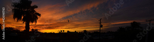 Sunset Orange Sky Cloudy Day and Palm Tree Siluette