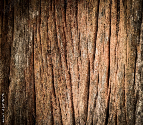 Old wood cracked texture, Seamless tree bark texture, Endless wooden background for web page fill or graphic design. 