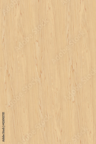 brown wooden tree timber background texture structure backdrop high size