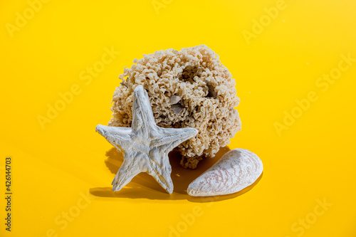 Starfish, pebble and sea sponge. Composition on yellow background.