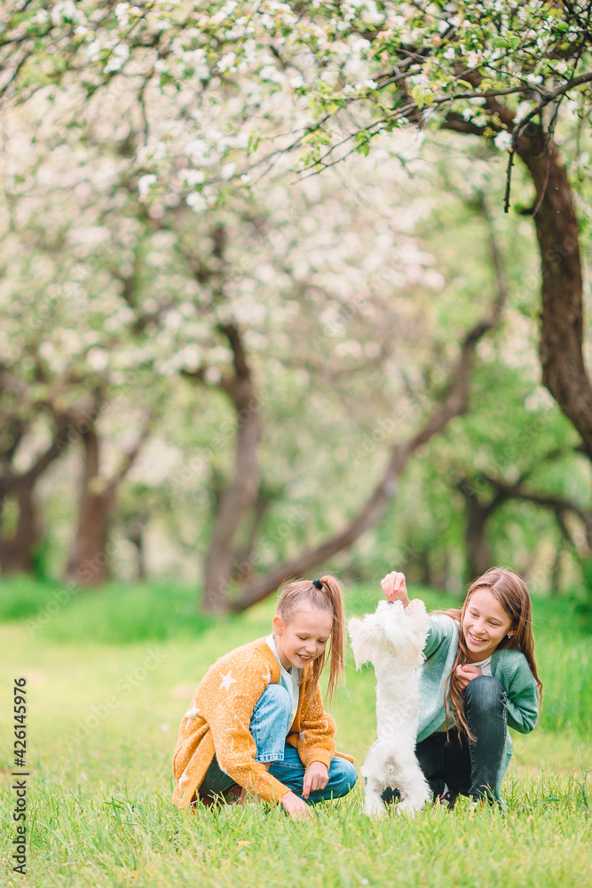 Little smiling girls playing and hugging puppy in the park Little smiling girls playing and hugging puppy in the park