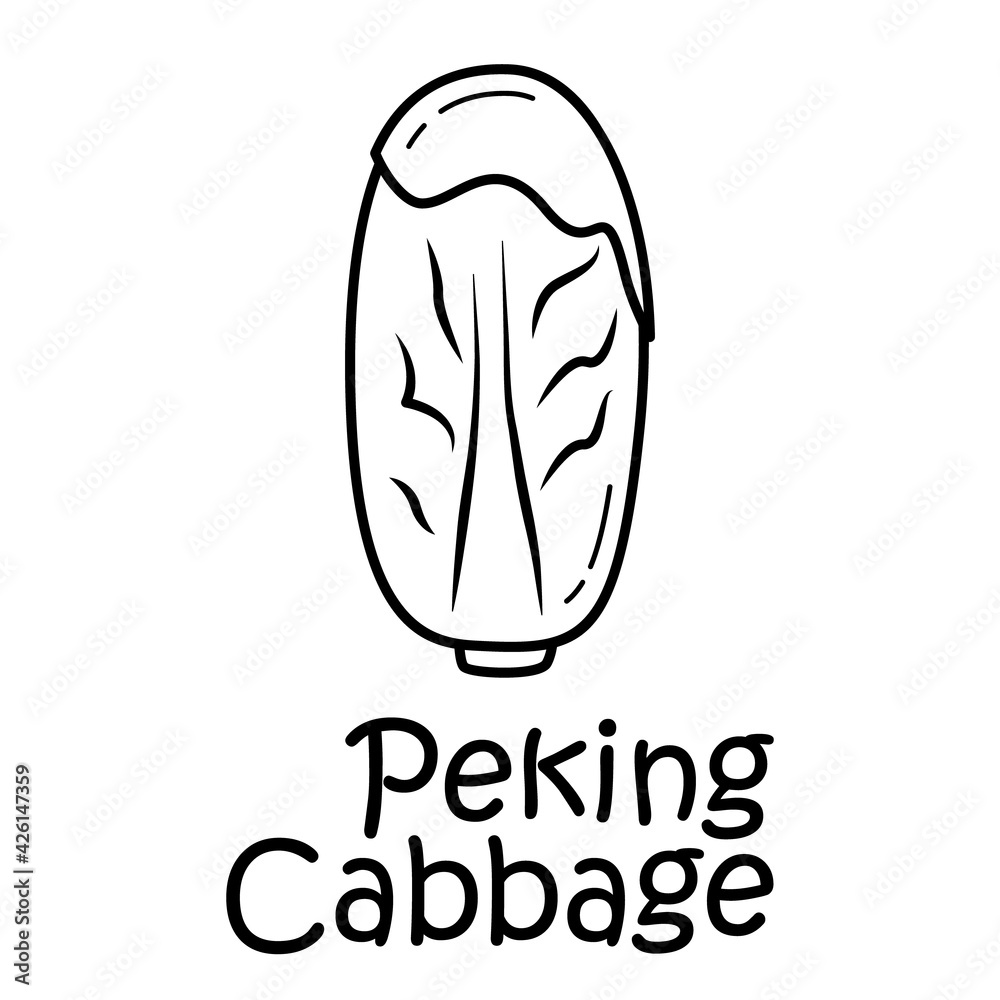 A set of three peking cabbage objects with the inscription A set of three peking cabbage objects with the inscription