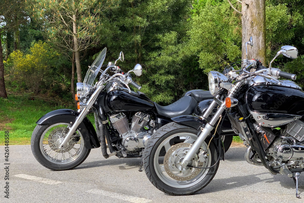 two black classic motorcycles with chrome details on a green foliage background