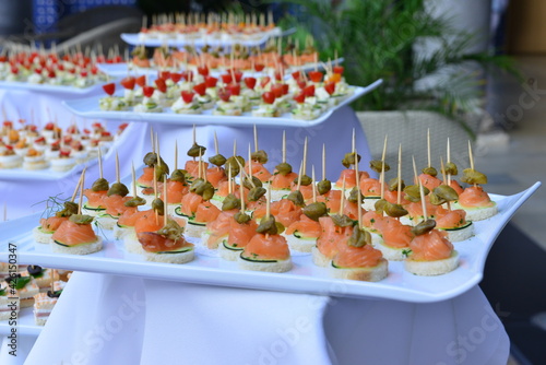 Elegant Healthy Smoked Salmon Appetizer Ingredients.Salmon with vegetables
