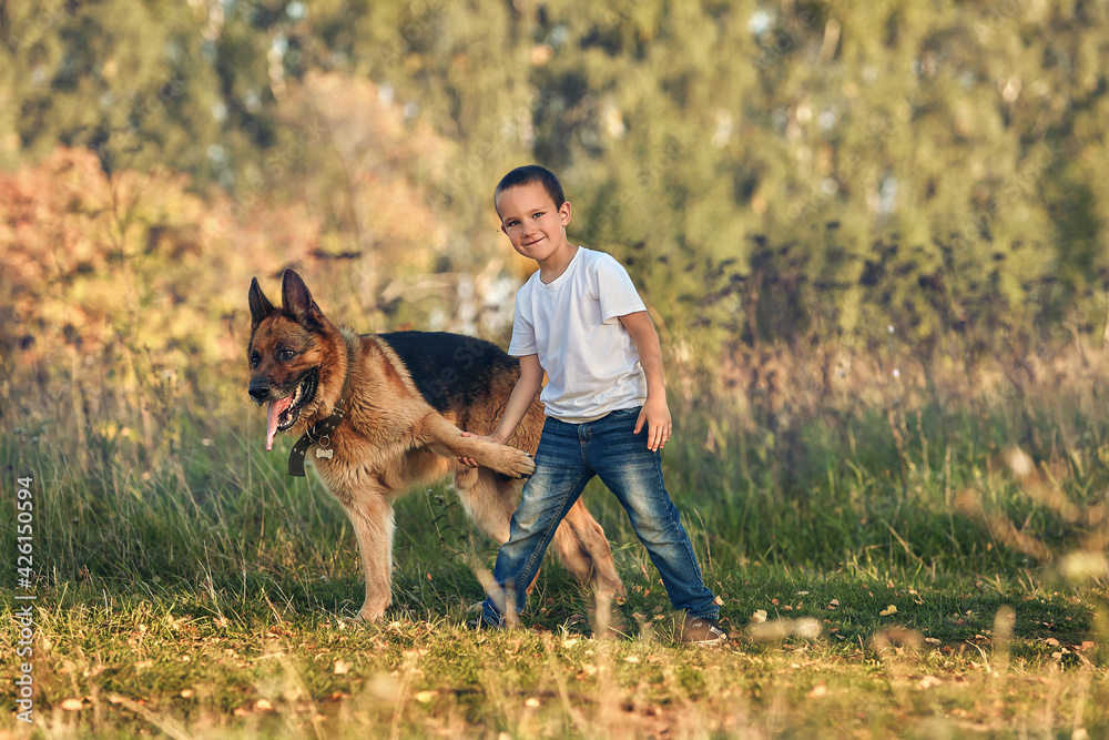 Boy playing in the meadow with a dog Boy playing in the meadow with a dog