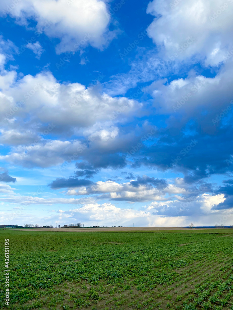 Fototapeta premium Clouds over field