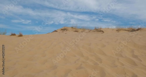 Oleshky sands in Ukraine. Mixed landscape with desert and steppe.  photo