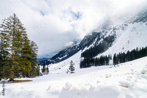 Beautiful and natural landscape winter wallpaper in mountains. Pine trees and snow on cloudy day in Mt. Pilatus, Lucern, Switzerland. 