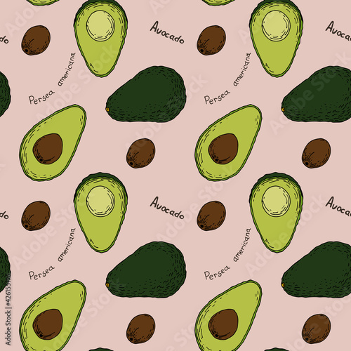 Seamless pattern with the colored  images of avocado in line on green background.
Background for your design. Doodle style