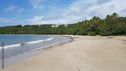 beach view with palm trees in grenada