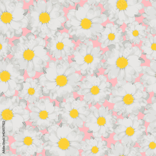 Floral pattern with white chrysanthemums on a pink background. 