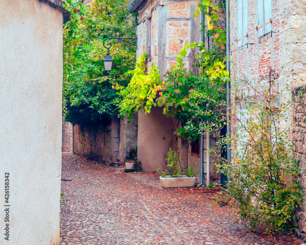 Naklejka premium French village