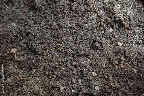 Dirt ground in the backyard texture background