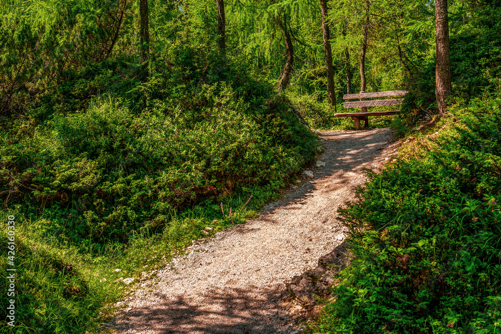 Wooden bench on hiking trails in the Dolomites, Italy.