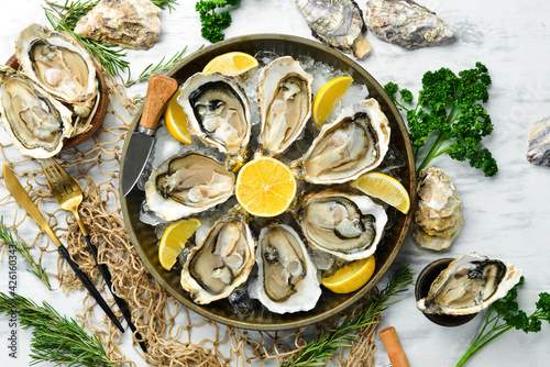 Fresh opened oysters in a plate with ice and lemon. Free space for your text. Seafood. Flat lay.