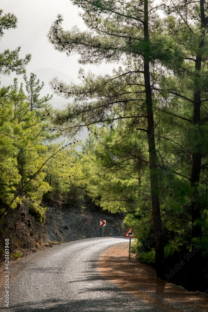 Fototapeta premium Koprulu Canyon National Park. A winding forest road surrounded by pine trees. Manavgat, Antalya, Turkey.
