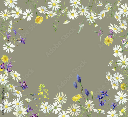 Frame of watercolor multicolored wildflowers and daisies