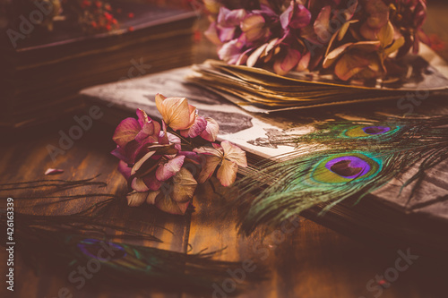 Old book and photo album, dried flowers and peacock feather eye in vintage style