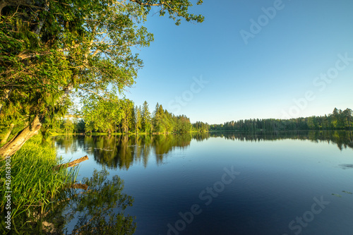 Landscape on a blue forest lake on the Karelian Isthmus in the Leningrad region. Russia