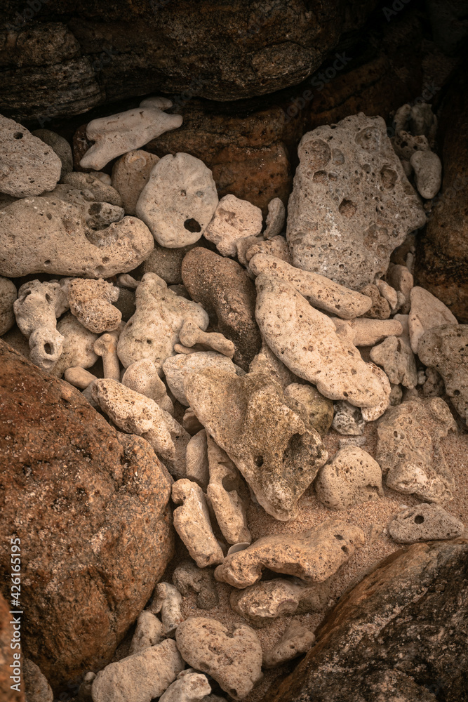 Fragmenty rafy koralowej, naturalne tło tekstura. skutki globalnego ocieplenia.