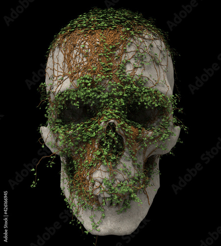 Skull made of stone with vines growing and covering it