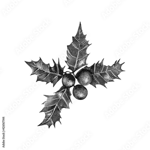 Hand drawn sketch holly berry