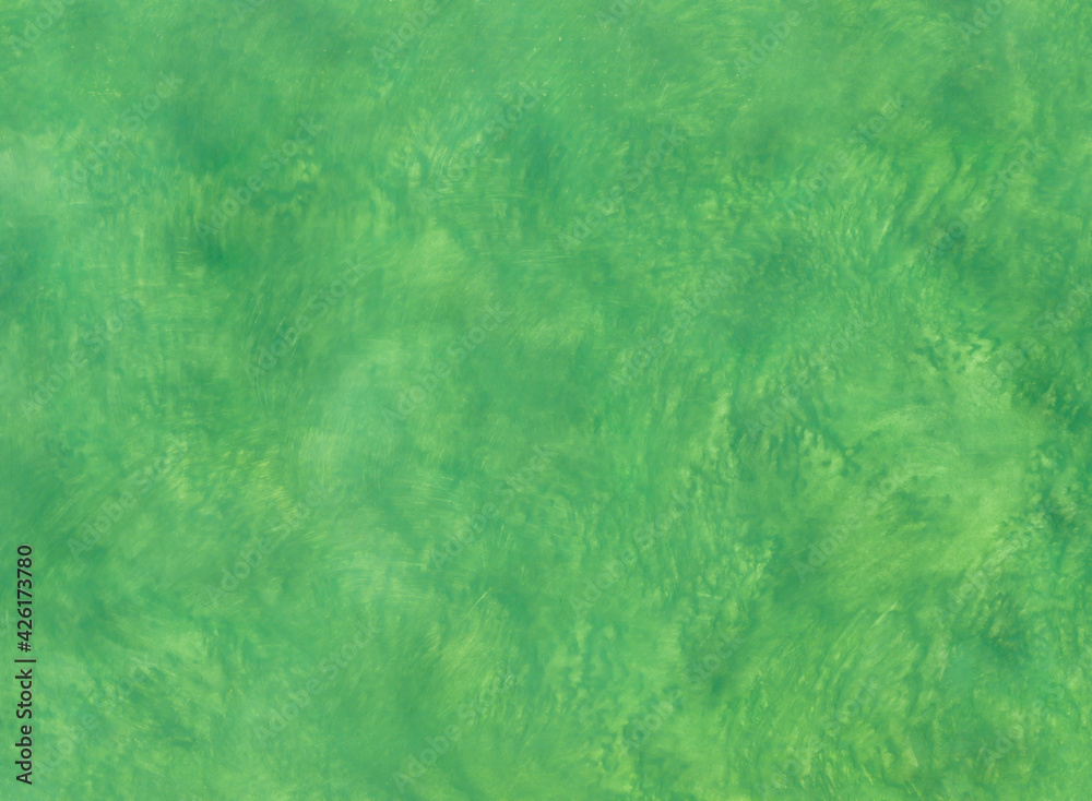 Fototapeta premium Green background painted with acrylic paints. Abstract background painted with brush and sponge.