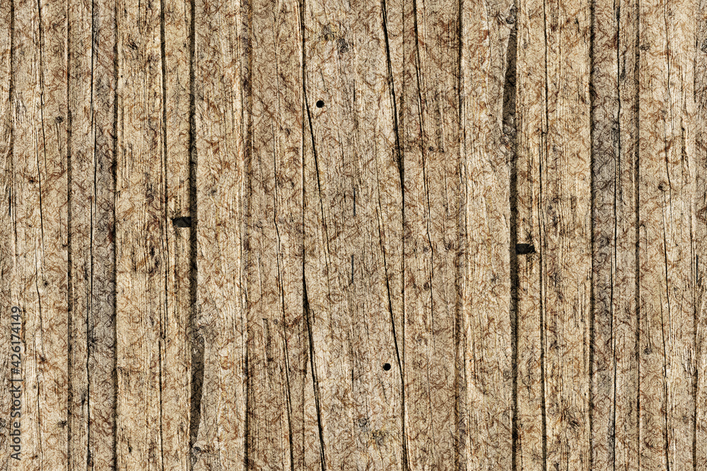 grainy grunge pine wood texture background grainy grunge pine wood texture background