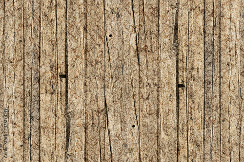 Wallpaper Mural grainy grunge pine wood texture background Torontodigital.ca