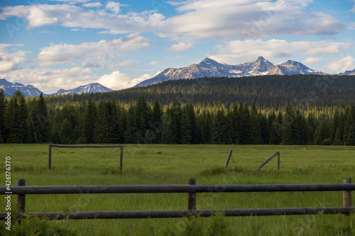 Meadow with mountains in background, Glacier National Park, Montana