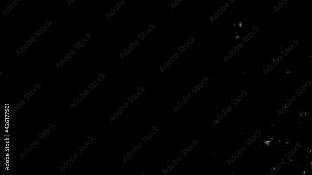 Animated white pollen particles on black background with copy space included