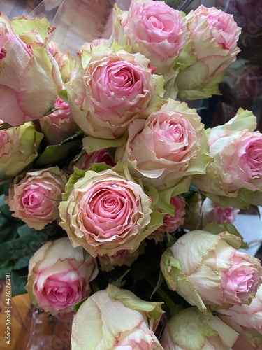 pink roses bouquet