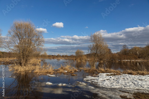 River flood on a spring day. Dry grass is visible from under the snow. The land is flooded with water.