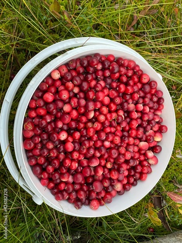cranberries in a bowl