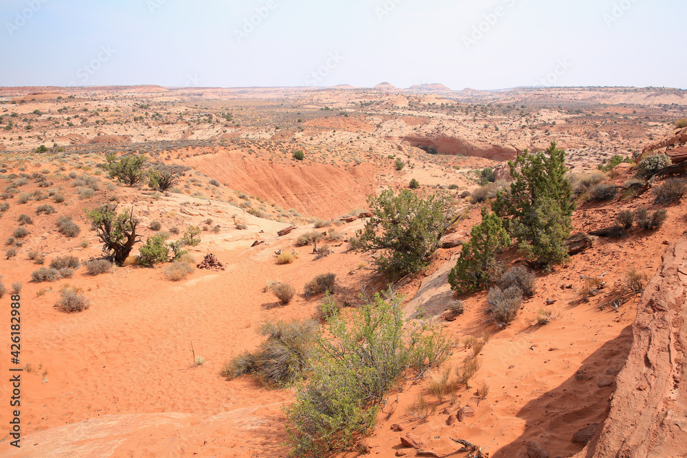 Desert in Grand Staircase Escalante National Monument, Utah, USA