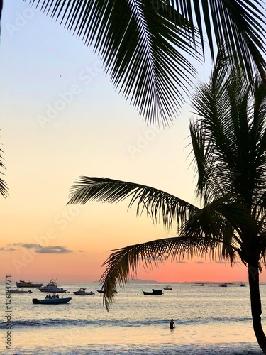 sunset on the beach with palm trees