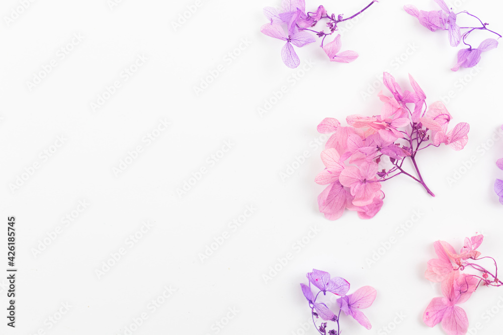 Colorful dried flower composition on a white background with copy space