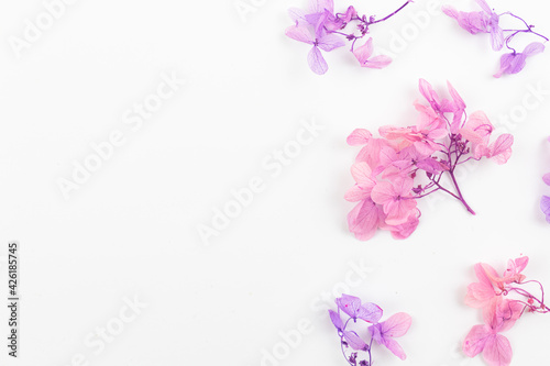 Colorful dried flower composition on a white background with copy space