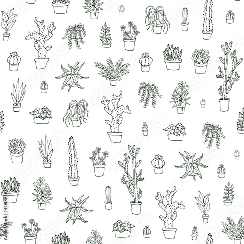 Cactus plants seamless vector hand drawn pattern