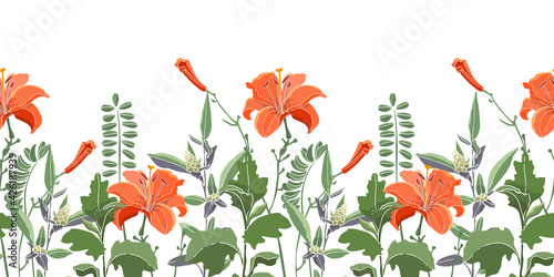 Vector seamless floral border, pattern. Orange color lilies, daylilies, green wormwood, quinoa, coronílla. Vector flowers, buds, leaves and herbs isolated on a white background.