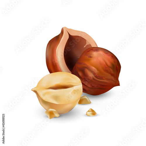 Hazelnut kernels are ripe and tasty, a healthy treat, a source of protein. For snacks and chocolate spread. Vector