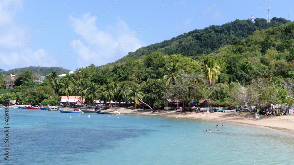 white sand beach with boats and palm trees in Martinique