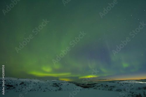 Northern lights in the sky. Snowy tundra at night.