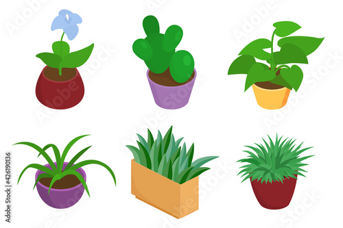 Flower pot set, green plant isometric collection, vector illustration. Nature decoration, houseplant, isolated on white design.